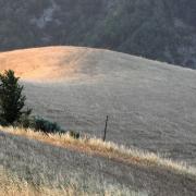 Campi in autunno