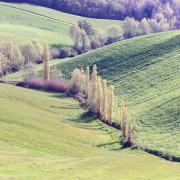 Campi in autunno