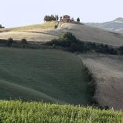 Campi in autunno