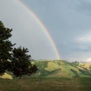 Andiamo a cercare la pentola piena di monete d'oro ?