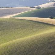 Andiamo a cercare la pentola piena di monete d'oro ?