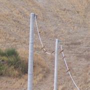 Campi in autunno