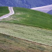 Andiamo a cercare la pentola piena di monete d'oro ?