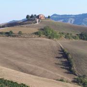 Ca' Cellino a giugno con il grano maturo