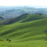 Andiamo a cercare la pentola piena di monete d'oro ?